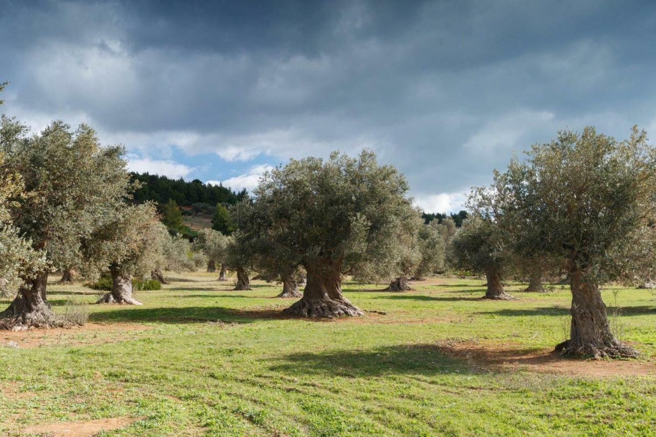 Kouvelia Country Home Luxury Villa Rental Nerotrivia Luaran gambar
